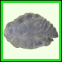 eucspp_398_b_002