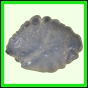 eucspp_399_a_003