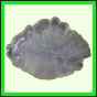 eucspp_399_b_002