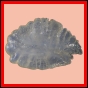 eucspp_400_a_001