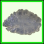 eucspp_400_b_001