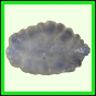 eucspp_402_a_002