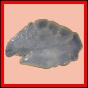 eucspp_404_b_003