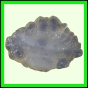 eucspp_405_a_002