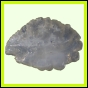 eucspp_406_b_003
