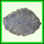 eucspp_410_a_002