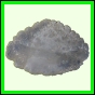eucspp_411_a_003