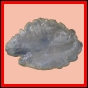 eucspp_411_b_003