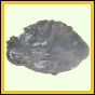 eucspp_954_a_001
