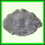 eucspp_954_b_003