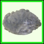 eucspp_955_a_001