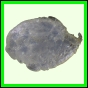 eucspp_956_b_002