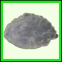eucspp_957_b_002