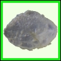 eucspp_958_a_001