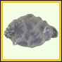 eucspp_959_a_002