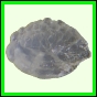eucspp_959_b_003