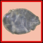eucspp_961_b_002