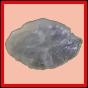 eucspp_962_a_002