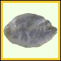 eucspp_963_b_002