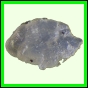 eucspp_964_a_002