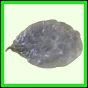 eucspp_967_a_002