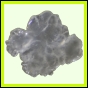 evolyr_154_a_014