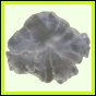 evolyr_156_a_015