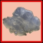evolyr_157_b_001