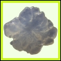 evolyr_158_b_001