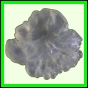 evolyr_160_a_002