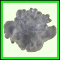 evolyr_160_b_002