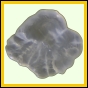 evolyr_161_a_019