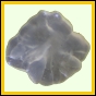 evolyr_161_b_002
