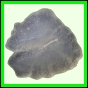 fungra_1043_a_003