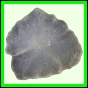 fungra_1046_b_001