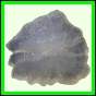 fungra_1048_b_002
