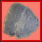 fungra_1050_a_003