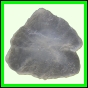 fungra_1056_a_003