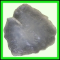 fungra_1057_a_003