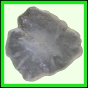 fungra_1060_b_003
