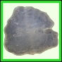 fungra_1061_a_001