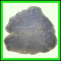 fungra_1061_b_003