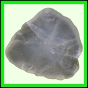 fungra_1062_a_001