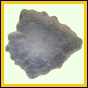 fungra_1063_a_001