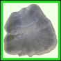 fungra_1065_b_003