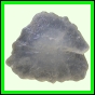 fungra_1066_b_003