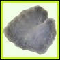 fungra_1067_b_003
