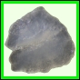 fungra_1071_b_003