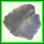 fungra_2117_a_001
