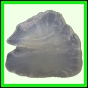 fungra_2119_a_001